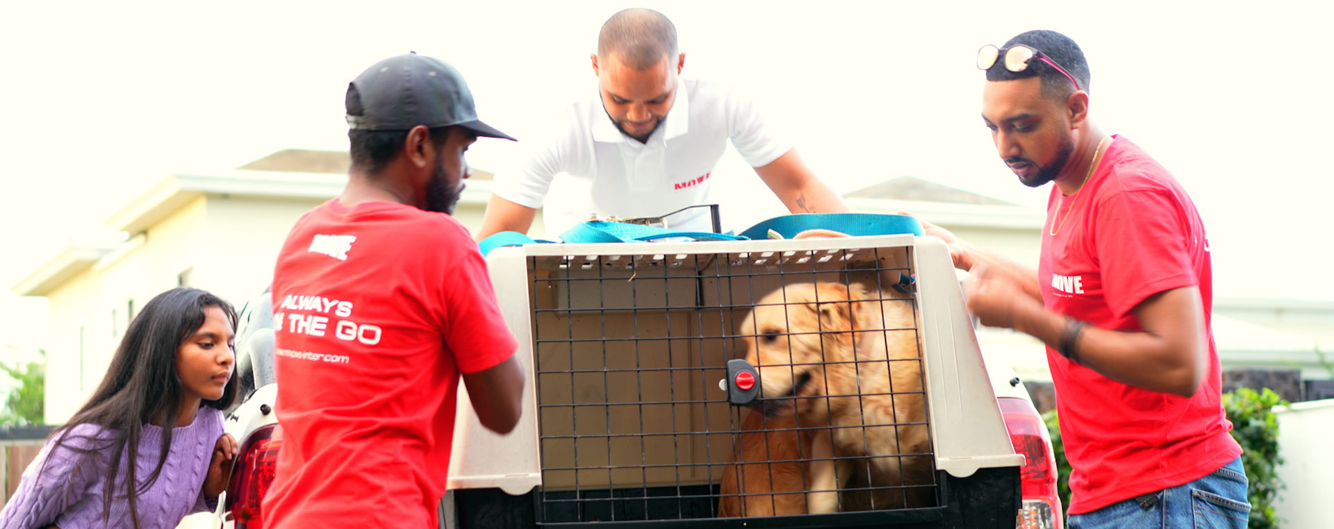 pet-relocation-banner